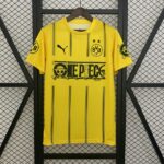 Borussia Dortmund 2025-26 Special Edition Jersey
