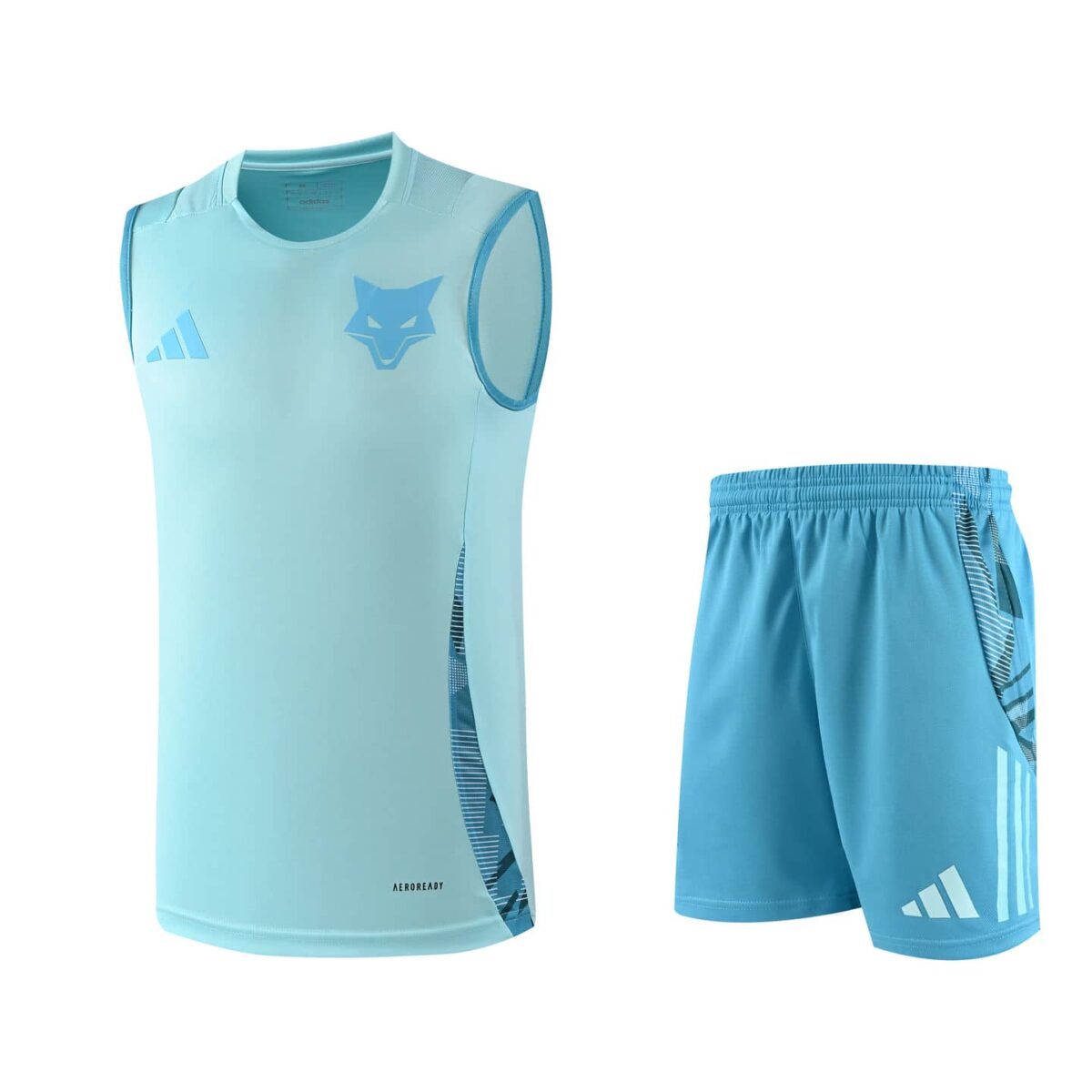 Cruzeiro 2025-26 Sky Blue Vest Training Kit - Image 1