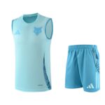 Cruzeiro 2025-26 Sky Blue Vest Training Kit