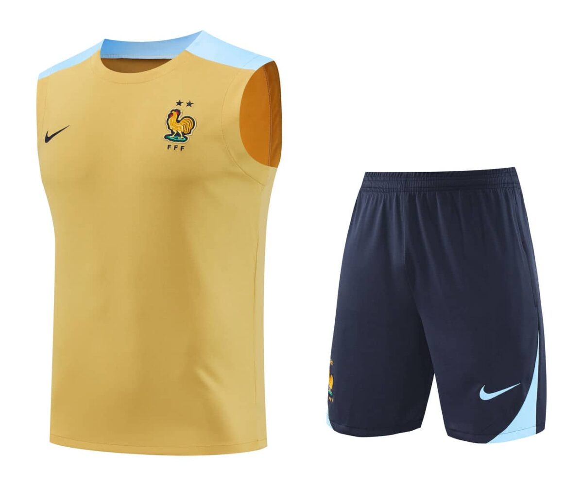 France 2025-26 Yellow and Blue Vest Training Kit - Image 1