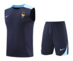 France 2025-26 Blue and Light Blue Vest Training Kit
