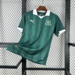 Plymouth Argyle 2025-26 Home Jersey Fan Version