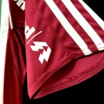 Fluminense 2008-09 Home Retro Jersey - Image 10