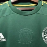 Palmeiras 2014-15 Home Retro Jersey - Image 9
