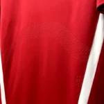 Chile 2014-15 Home Retro Jersey - Image 11