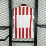 Atletico Madrid 2025-26 Home Vest Jersey - Image 2