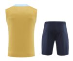 France 2025-26 Yellow and Blue Vest Training Kit - Image 2