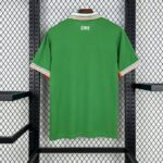 Ireland 2025-26 Home Jersey Fan Version - Image 2