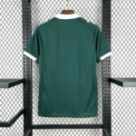 Plymouth Argyle 2025-26 Home Jersey Fan Version - Image 2