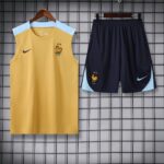 France 2025-26 Yellow and Blue Vest Training Kit - Image 3