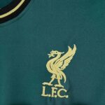 Liverpool 2025-26 Green Jordan Concept Jersey - Image 3