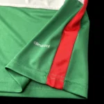 Palmeiras 2014-15 Centennial Edition Green Retro Jersey - Image 3