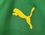Cameroon 1998-99 Home Retro Jersey - Image 8