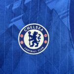 Chelsea 2025-26 Blue Vest Jersey - Image 4