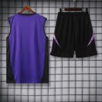Germany 2025-26 Purple and Black Vest Training Kit - Image 4