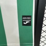 Cordoba CF 2025-26 Home Jersey Fan Version - Image 4