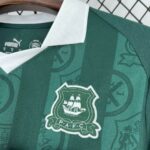 Plymouth Argyle 2025-26 Home Jersey Fan Version - Image 4