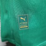 Palmeiras 2025-26 Home Jersey With All Sponsors Player Version - Image 4