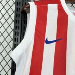 Atletico Madrid 2025-26 Home Vest Jersey - Image 5