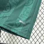 Plymouth Argyle 2025-26 Home Jersey Fan Version - Image 5