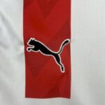 PSV 2025-26 Home Jersey Fan Version - Image 6
