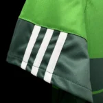 Palmeiras 2010-11 Home Retro Jersey - Image 6