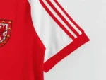 Wales 1982-83 Home Retro Jersey - Image 6