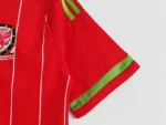 Wales 2015-16 Home Retro Jersey - Image 6