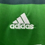 Palmeiras 2010-11 Home Retro Jersey - Image 7