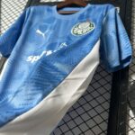 Palmeiras 2025-26 Blue Goalkeeper Jersey - Image 8
