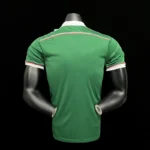 Palmeiras 2014-15 Centennial Edition Green Retro Jersey - Image 9