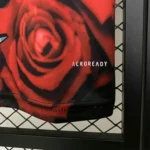 Real Madrid 2025-26 Red Rose Snake Special Edition Jersey - Image 9