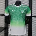 Ivory Coast 2026 FIFA World Cup Green Special Edition Jersey Player Version