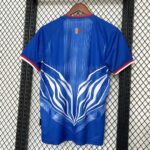 DR Congo 2026 FIFA World Cup Blue Special Edition Jersey - Image 4