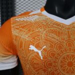 Ivory Coast 2026 FIFA World Cup Orange Special Edition Jersey Player Version - Image 4