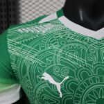 Ivory Coast 2026 FIFA World Cup Green Special Edition Jersey Player Version - Image 4