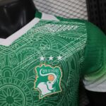 Ivory Coast 2026 FIFA World Cup Green Special Edition Jersey Player Version - Image 5