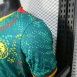 Cameroon 2026 Green Special Edition Jersey Player Version - Image 6